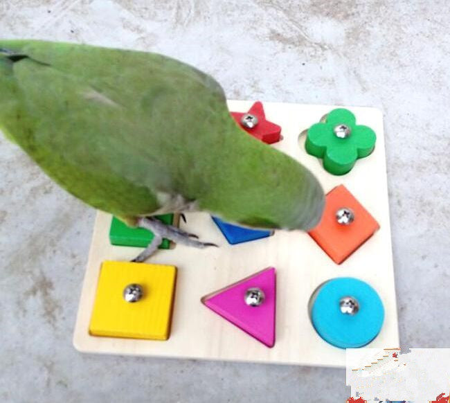 Bird Toys Coin Box Puzzle Bird Product Training Intelligence Development Pet Toys